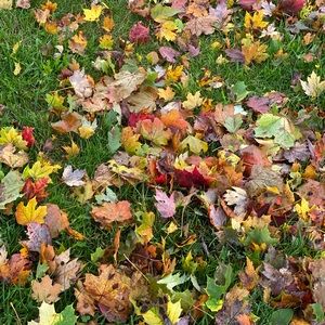 Meet your Posher, Manoj